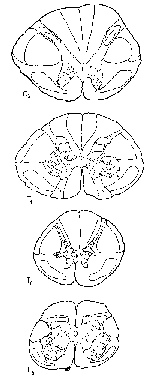 Practice Diagram